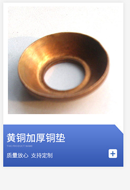 Oil Seal