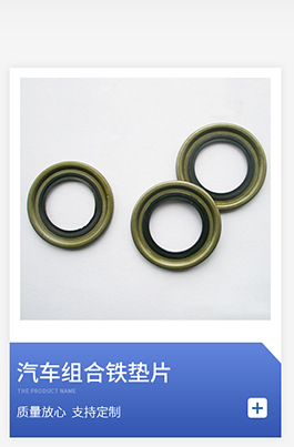 Oil Seal