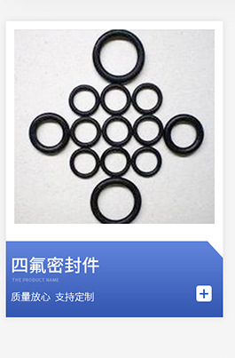 Oil Seal